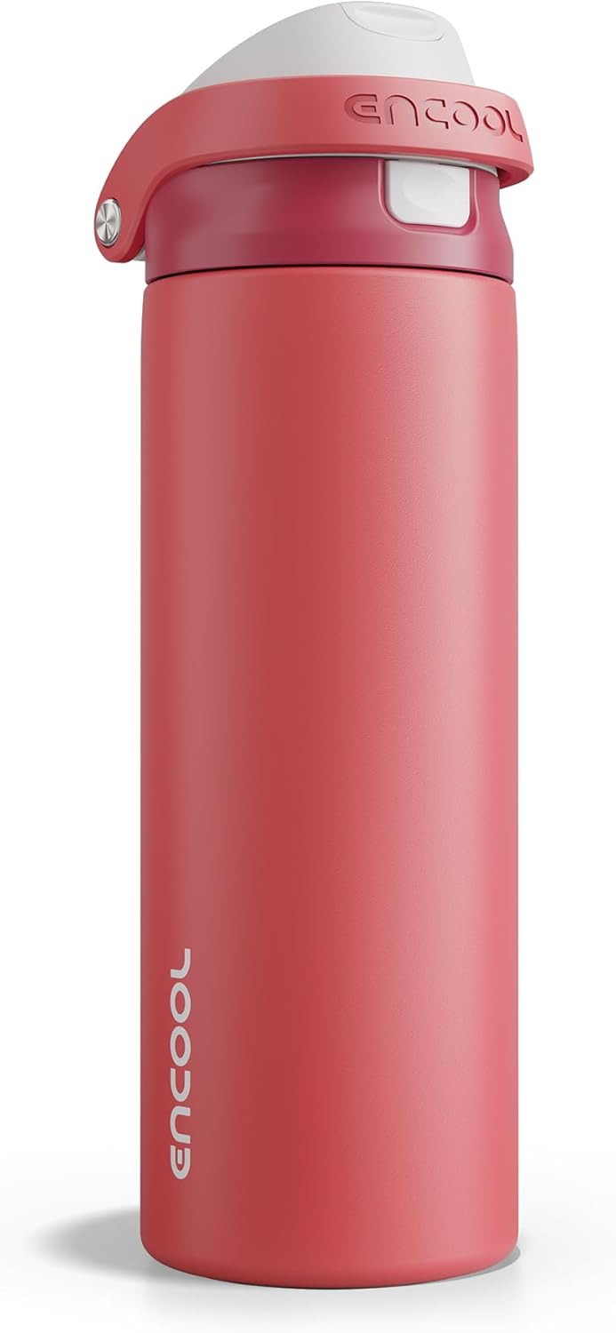 Leakproof Insulated Water Bottle with Straw Dual-Sip Water Bottle Bag-Safe Design for Work, Commute & Gym – Keeps Drinks Cold All Day, 24 oz, Clay Grey - Colors B