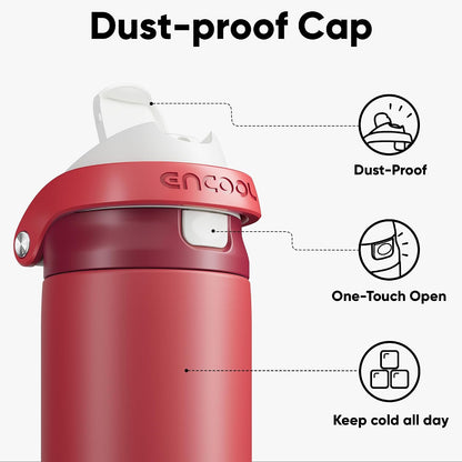 Leakproof Insulated Water Bottle with Straw Dual-Sip Water Bottle Bag-Safe Design for Work, Commute & Gym – Keeps Drinks Cold All Day, 24 oz, Clay Grey - Colors B