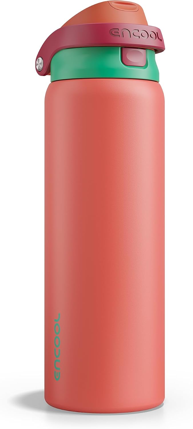 Leakproof Insulated Water Bottle with Straw Dual-Sip Water Bottle Bag-Safe Design for Work, Commute & Gym – Keeps Drinks Cold All Day, 24 oz, Clay Grey - Colors B