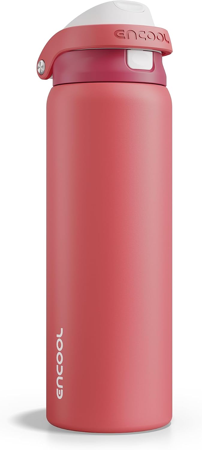 Leakproof Insulated Water Bottle with Straw Dual-Sip Water Bottle Bag-Safe Design for Work, Commute & Gym – Keeps Drinks Cold All Day, 24 oz, Clay Grey - Colors B