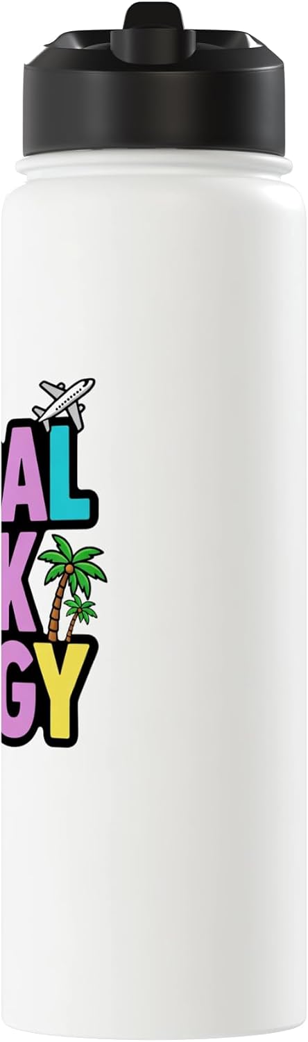 Global Desk Energy Travel Work Lifestyle Design Stainless Steel Insulated Water Bottle