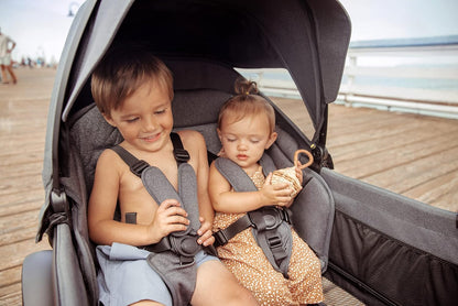 Retractable Canopy. ONLY for Cruiser (2 Seater Models). NOT Compatible with Cruiser XL 4 Seater Models.