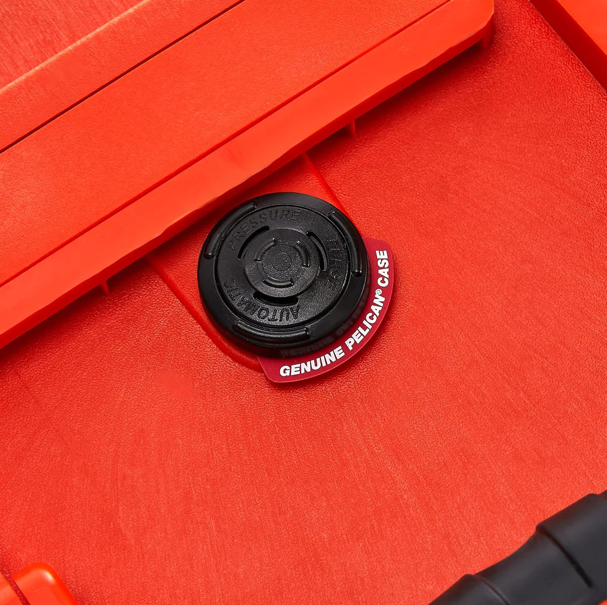 1560 Case No Foam (Black)