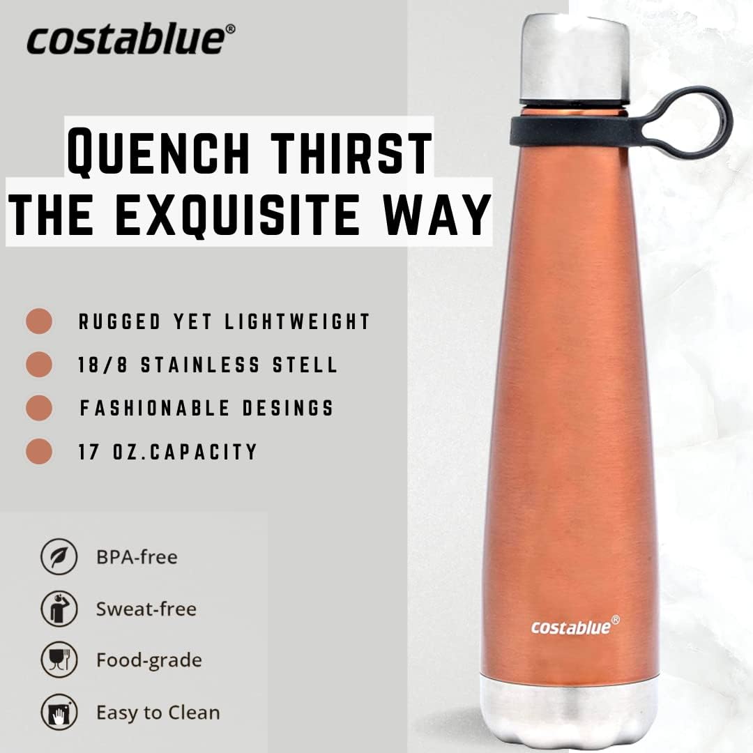 Insulated Water Bottle - On-The-Go Refillable Stainless Steel Water Bottles For Adults, Reusable Thermos Travel Tumbler With Leak-proof Lid For Hot & Cold Beverages (17Oz. Copper Peach)