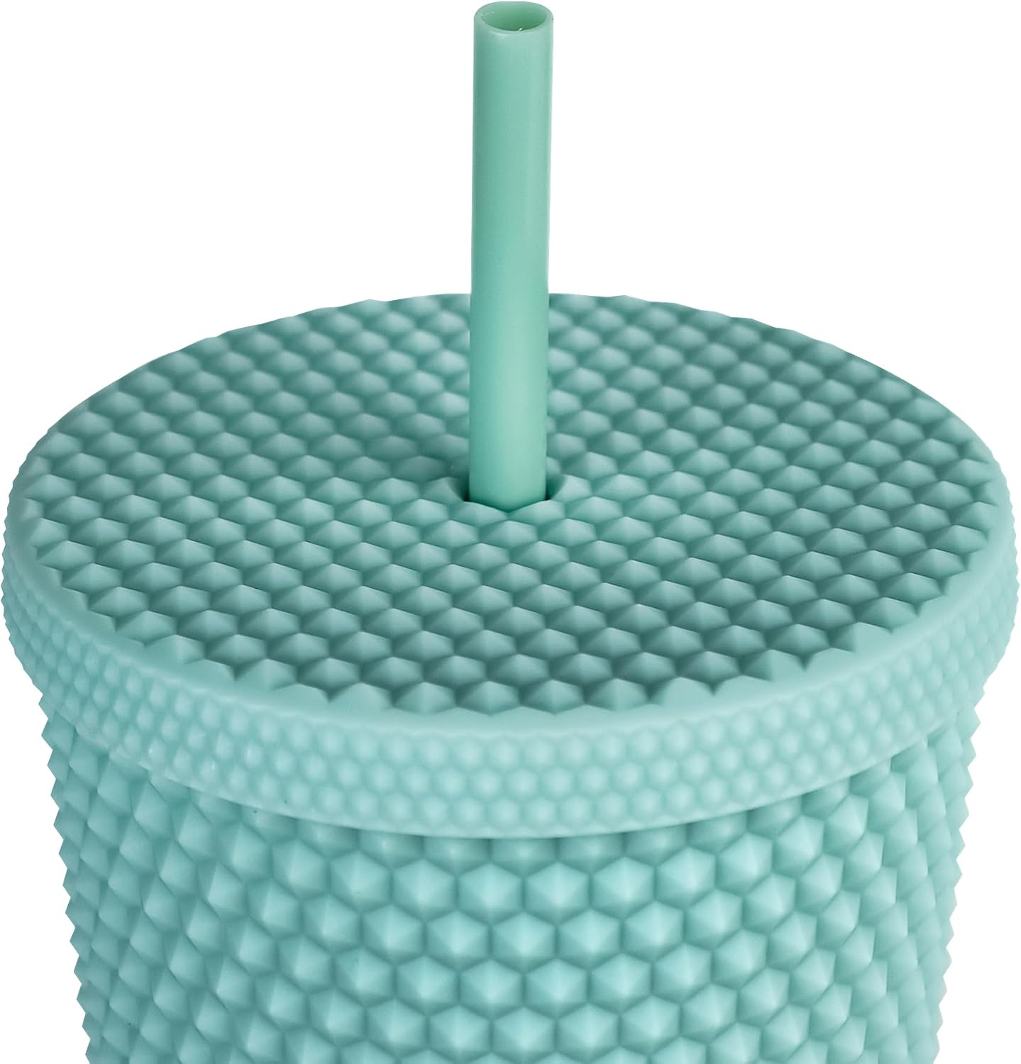 24oz Studded Tumblers | Insulated Double Wall | With Screw on Lid and Straw | Cold Beverage | Hand Wash | Mint Green, Focused & Fabulous