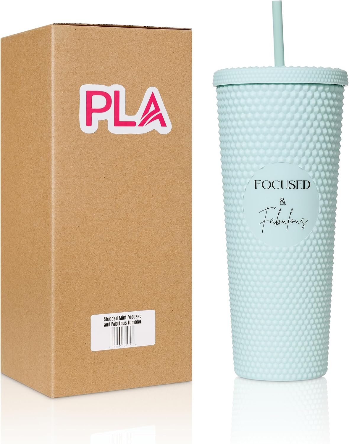 24oz Studded Tumblers | Insulated Double Wall | With Screw on Lid and Straw | Cold Beverage | Hand Wash | Mint Green, Focused & Fabulous