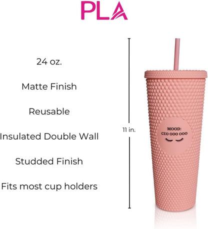 24oz Studded Tumblers | Insulated Double Wall | With Screw on Lid and Straw | Cold Beverage | Hand Wash | Mint Green, Focused & Fabulous
