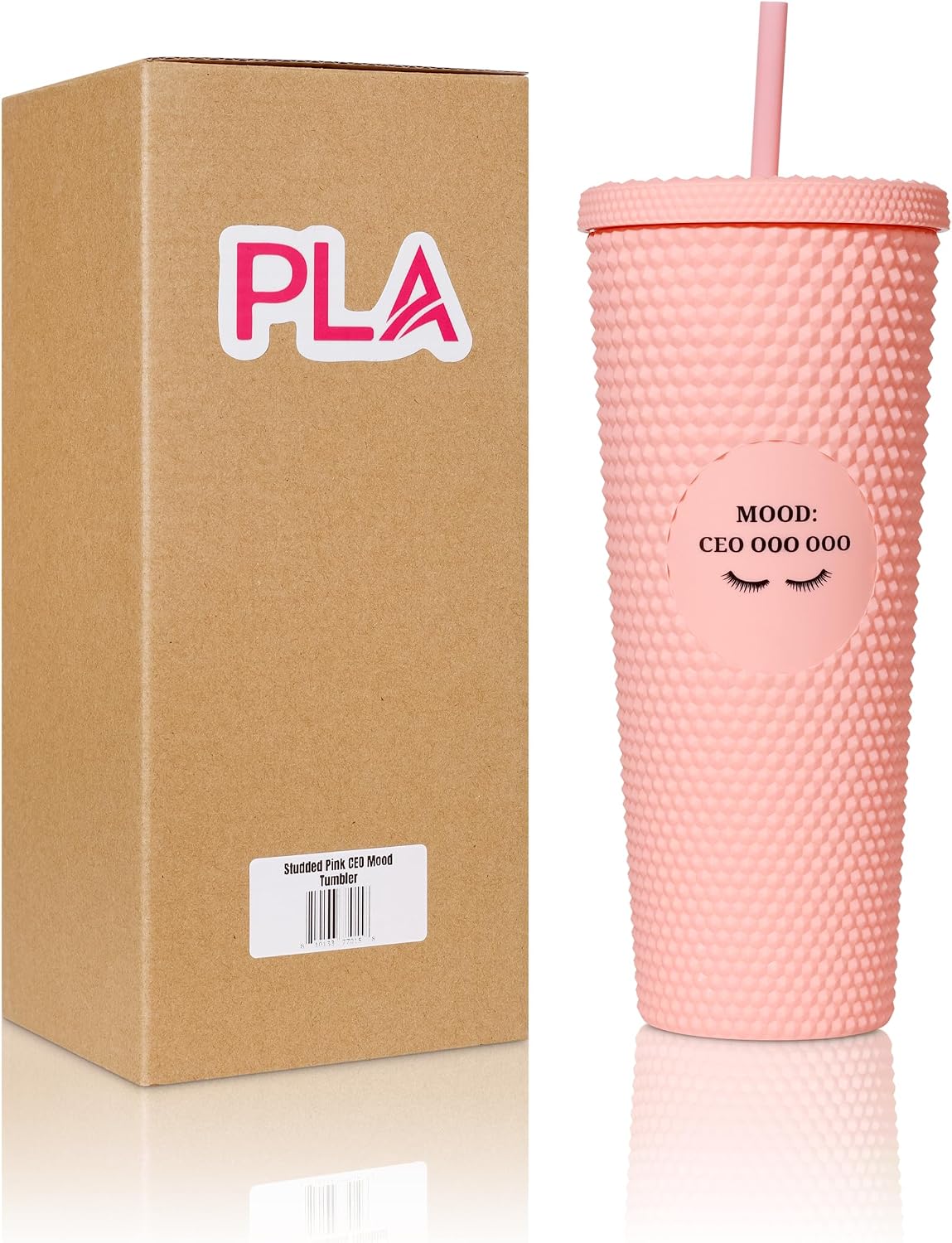 24oz Studded Tumblers | Insulated Double Wall | With Screw on Lid and Straw | Cold Beverage | Hand Wash | Mint Green, Focused & Fabulous