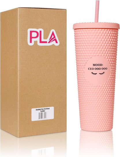 24oz Studded Tumblers | Insulated Double Wall | With Screw on Lid and Straw | Cold Beverage | Hand Wash | Mint Green, Focused & Fabulous