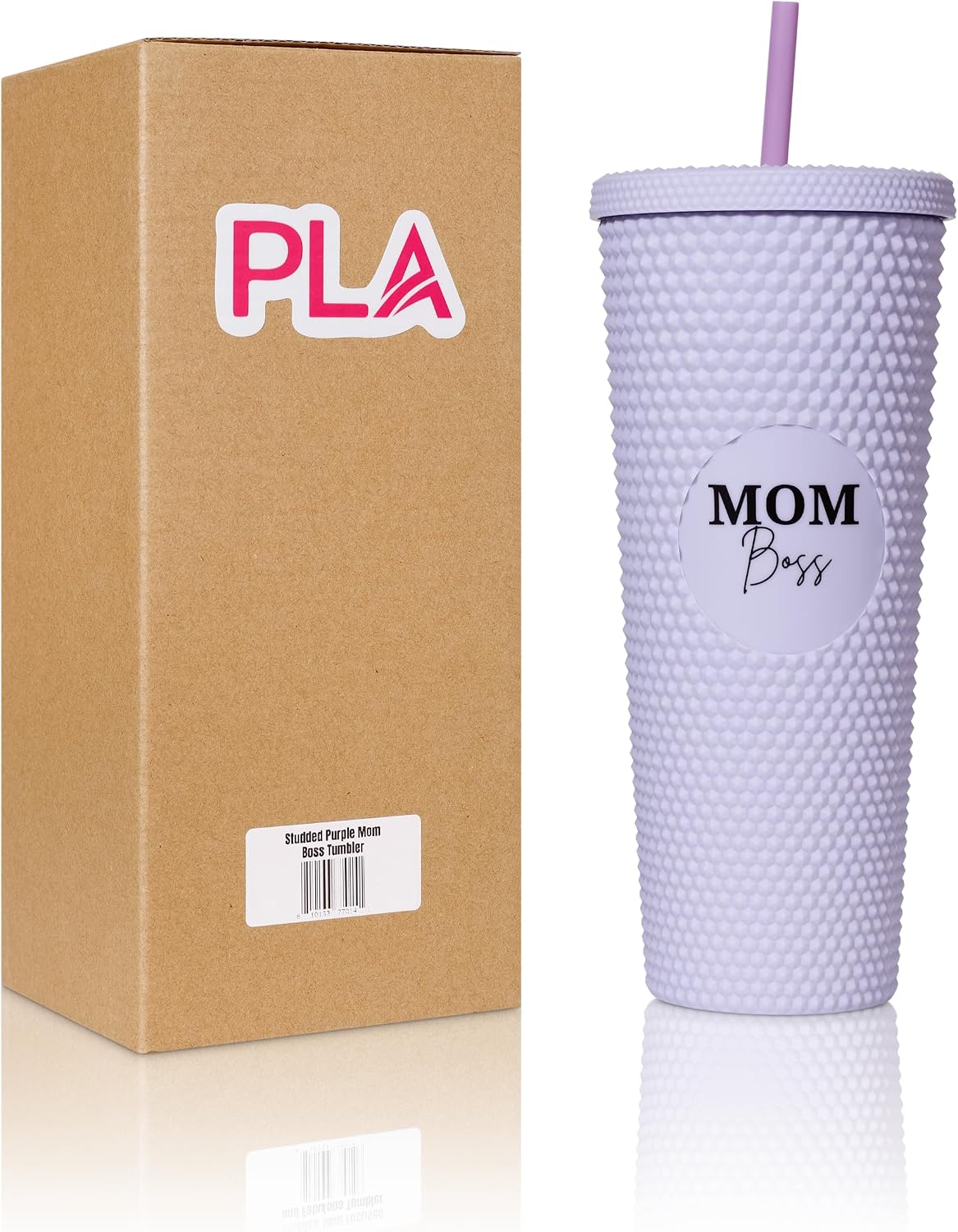 24oz Studded Tumblers | Insulated Double Wall | With Screw on Lid and Straw | Cold Beverage | Hand Wash | Mint Green, Focused & Fabulous