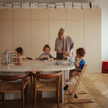 Silicone Placemat for Kids | BPA-Free Non-Slip Design (Dinosaurs)
