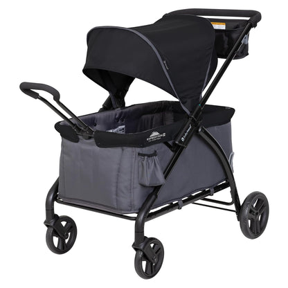 Expedition/Tour LTE 2-in-1 Stroller Wagon, Desert Blue - Colors B
