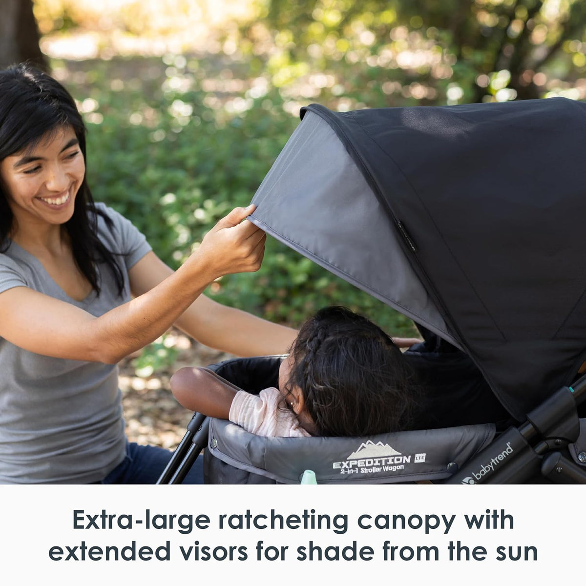 Expedition/Tour LTE 2-in-1 Stroller Wagon, Desert Blue - Colors B