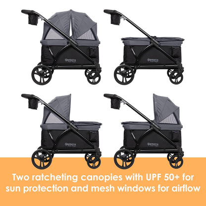 Expedition/Tour LTE 2-in-1 Stroller Wagon, Desert Blue - Colors B