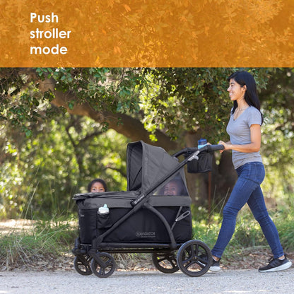 Expedition/Tour LTE 2-in-1 Stroller Wagon, Desert Blue - Colors B