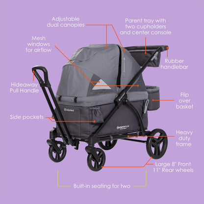 Expedition/Tour LTE 2-in-1 Stroller Wagon, Desert Blue - Colors B