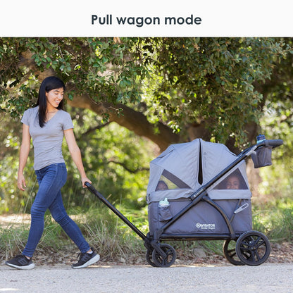 Expedition/Tour LTE 2-in-1 Stroller Wagon, Desert Blue - Colors B