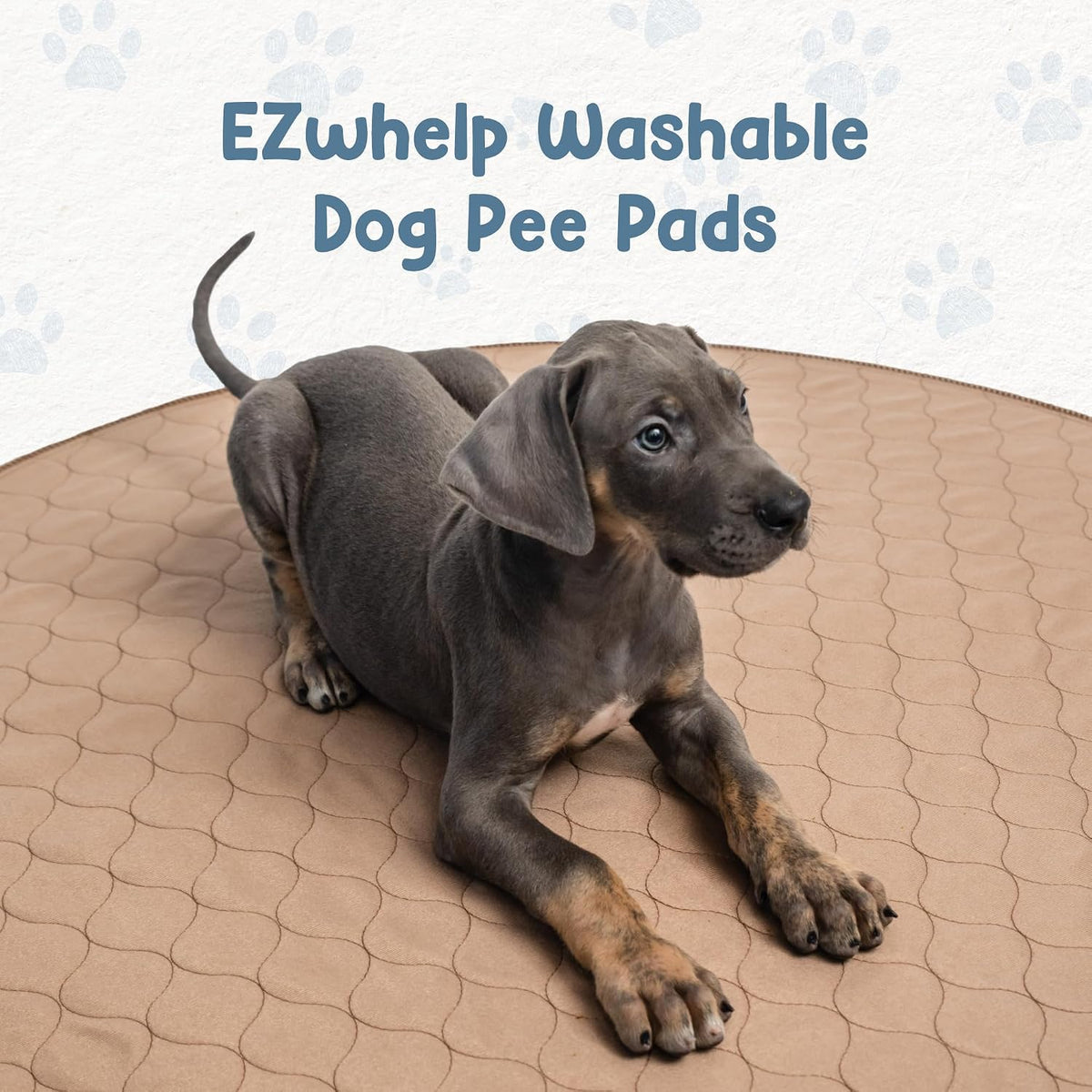 Reusable Dog Pee Pad, Washable Waterproof Round 48 in Mat, 1 Pack