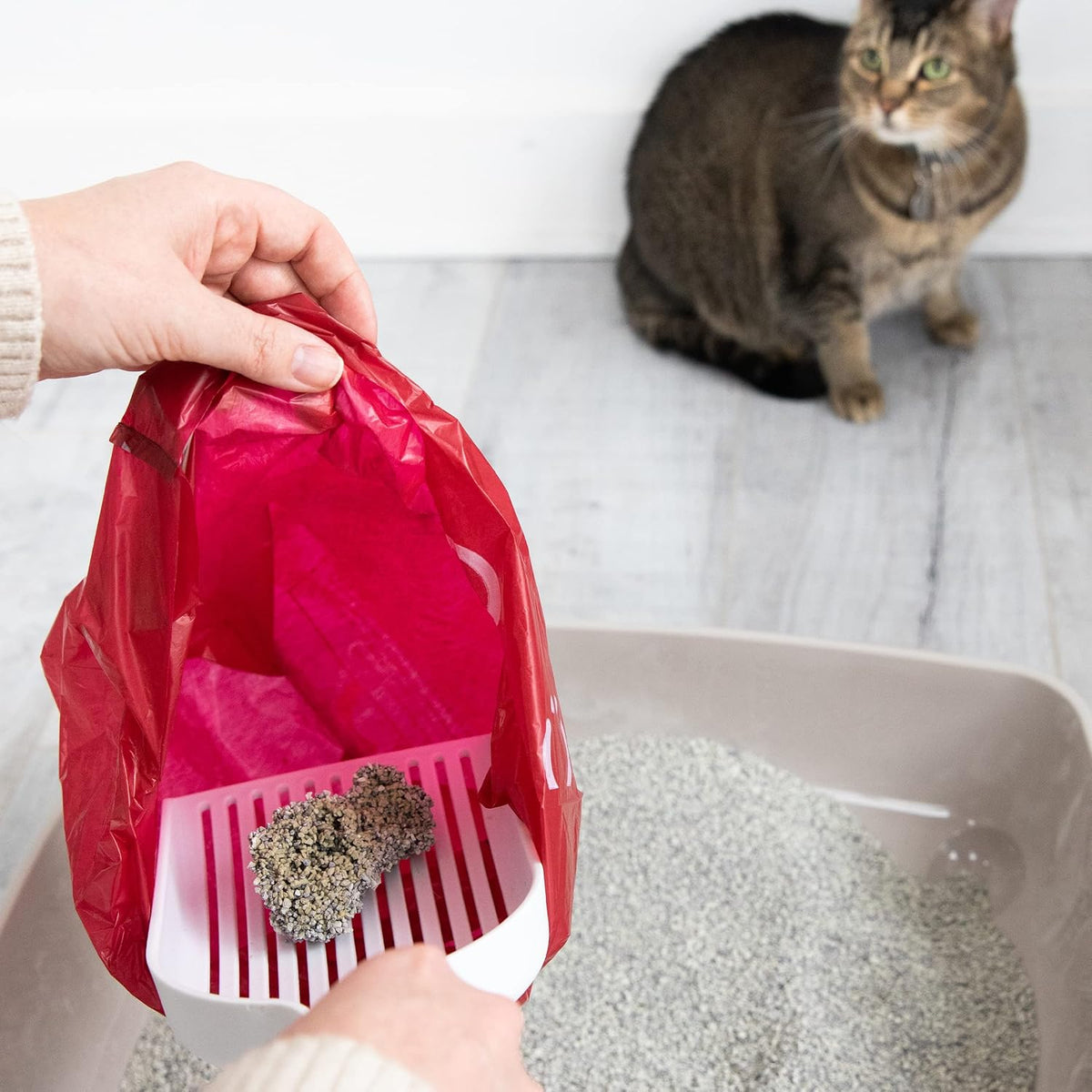 Pet Waste Pail Bags, 75 Count