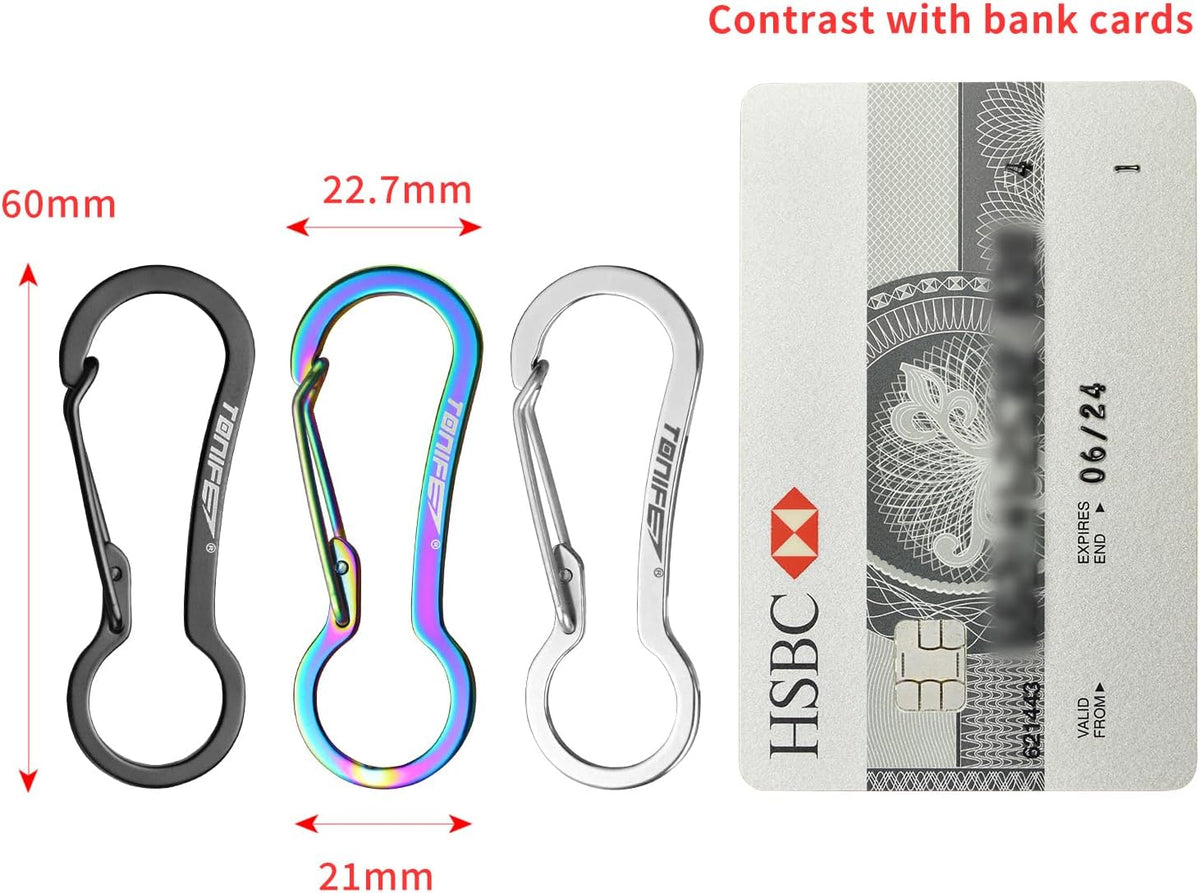 Carabiner Clip 2-Pack, Stainless Steel Carabiner Keychain, Spring Snap Hook for Dog Leash and Key Ring