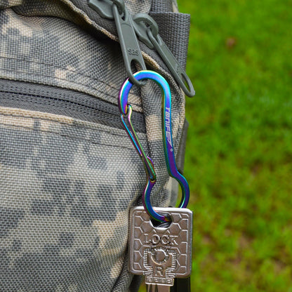 Carabiner Clip 2-Pack, Stainless Steel Carabiner Keychain, Spring Snap Hook for Dog Leash and Key Ring