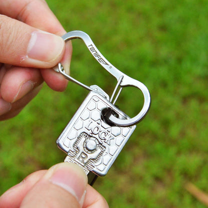 Carabiner Clip 2-Pack, Stainless Steel Carabiner Keychain, Spring Snap Hook for Dog Leash and Key Ring