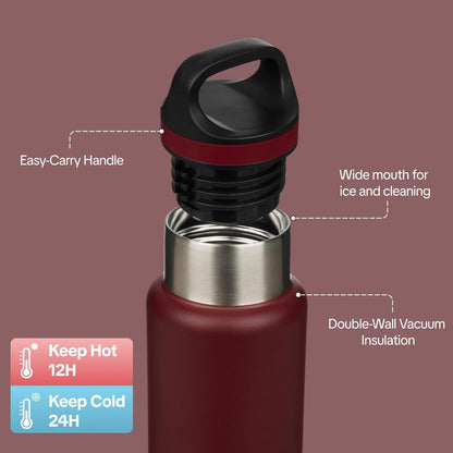 18oz Insulated Water Bottle Stainless Steel Water Bottle with Handle | BPA-Free Leak-Proof Bottle with Double Wall Vacuum Insulation, Reusable Water Bottle for Gym, Office, Travel & Everyday Use