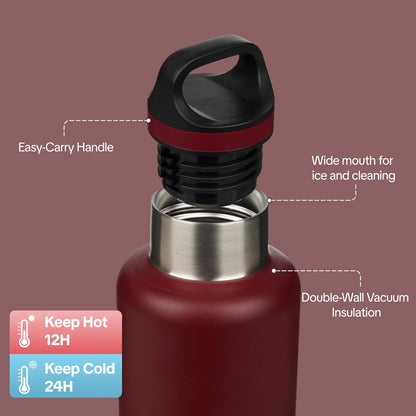 18oz Insulated Water Bottle Stainless Steel Water Bottle with Handle | BPA-Free Leak-Proof Bottle with Double Wall Vacuum Insulation, Reusable Water Bottle for Gym, Office, Travel & Everyday Use