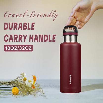 18oz Insulated Water Bottle Stainless Steel Water Bottle with Handle | BPA-Free Leak-Proof Bottle with Double Wall Vacuum Insulation, Reusable Water Bottle for Gym, Office, Travel & Everyday Use