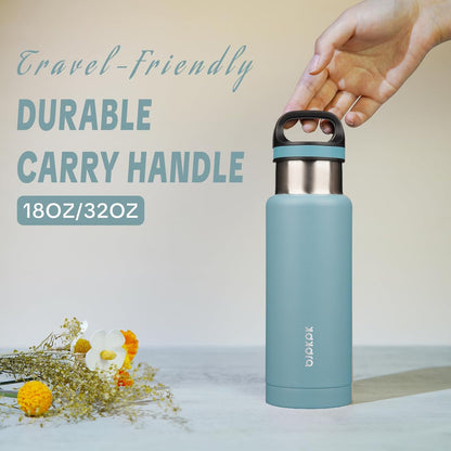18oz Insulated Water Bottle Stainless Steel Water Bottle with Handle | BPA-Free Leak-Proof Bottle with Double Wall Vacuum Insulation, Reusable Water Bottle for Gym, Office, Travel & Everyday Use