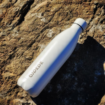 25 oz Insulated Stainless Steel Water Bottle, Metal Sports Flask | Double Wall Vacuum, Leak Proof, Keeps Hot/Cold, BPA Free, Dishwasher Safe, Cupholder Friendly, Travel, Lake Blue - Colors B