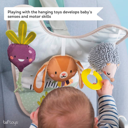 Musical Car Seat Toys for 0-12 Month Old Babies - Activity Center with Sensory Soft Hanging Toys and Mirror - Carseat Gift for Infants