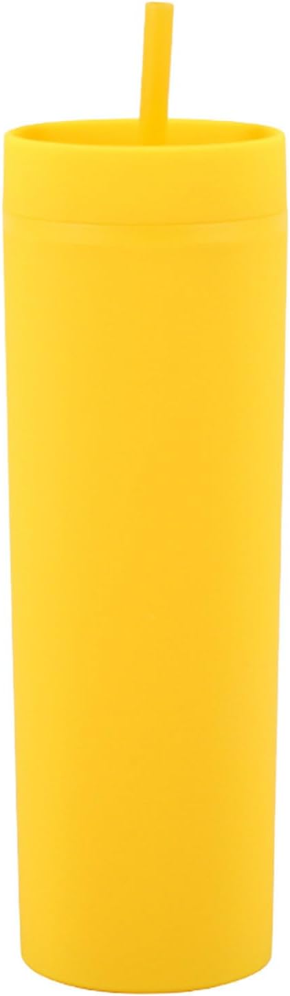 Plastic Cups with Straws and Lids Double Wall Insulated Acrylic Tumblers with Straw and Lid, 16 oz, Fashion Water Cup Double Layer Bottle Straw Cup Straight Body Cups (Blue)