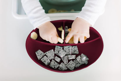 Foodie Feeding Set for babies - roll up bib suction plate, bowll