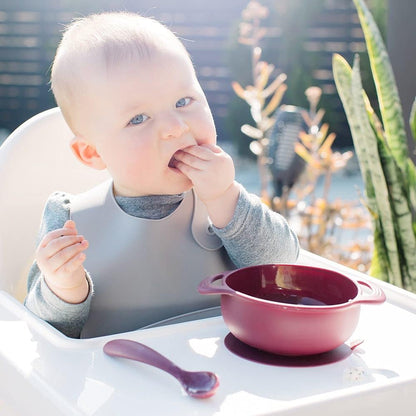 Foodie Feeding Set for babies - roll up bib suction plate, bowll