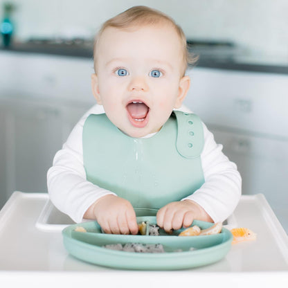 Foodie Feeding Set for babies - roll up bib suction plate, bowll