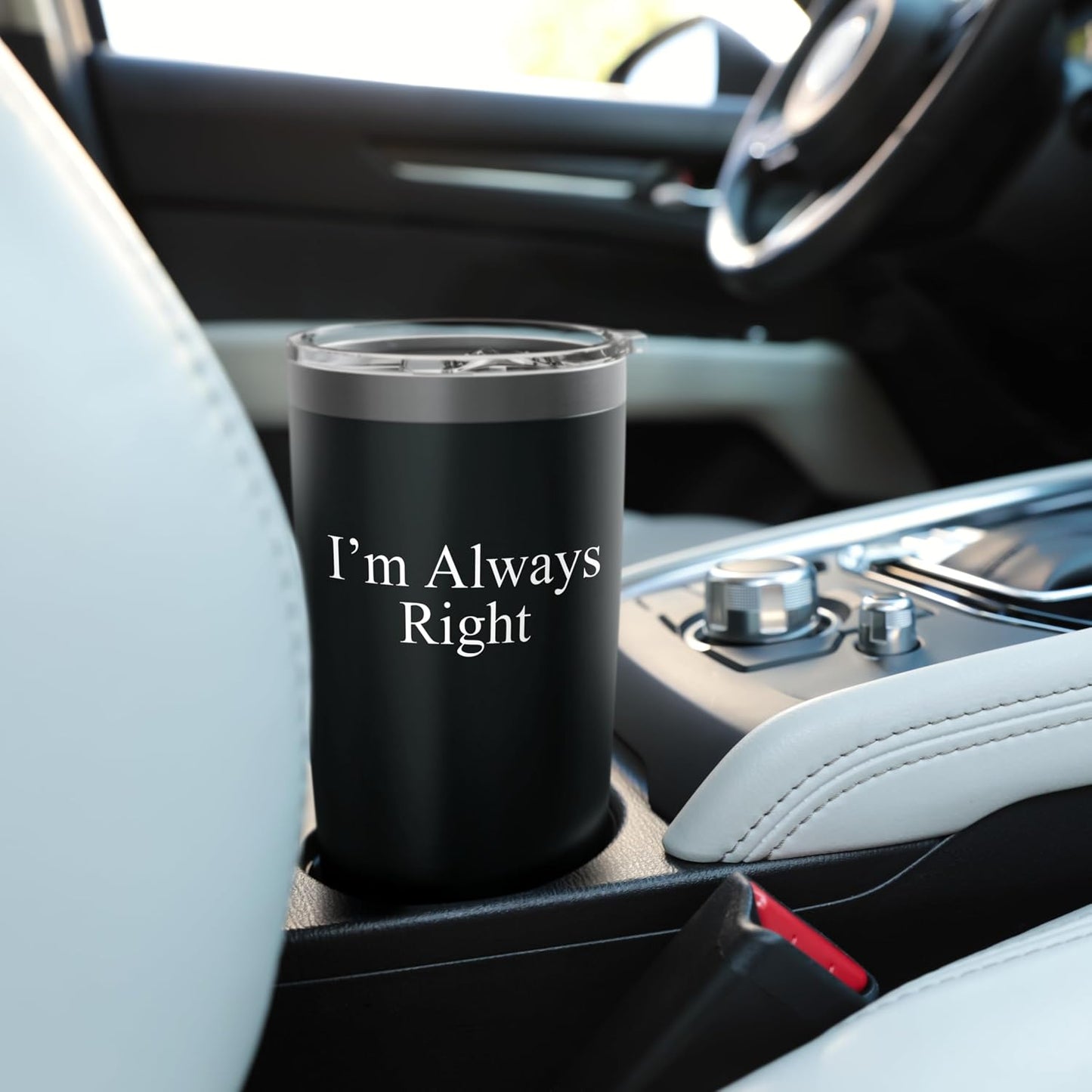 Sarcastic Saying Funny Meme Humor I’m Always Right Stainless Steel Insulated Tumbler