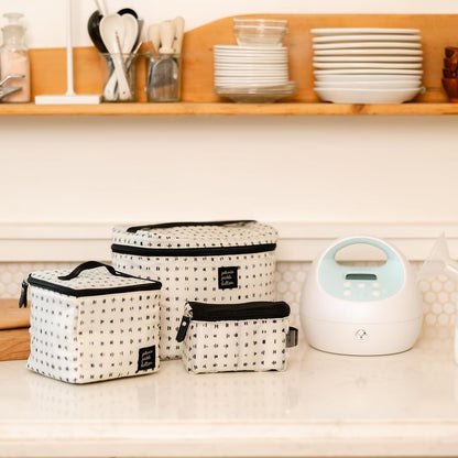 Prompt Pump Kit, Four Piece Set, Stores Pump Parts, 4 Bottles & Accessories, Keeps On-the-Go Parents Organized, Easy to Store for Everyday & Travel (Quill)