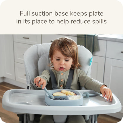 Suction Plates and Lid