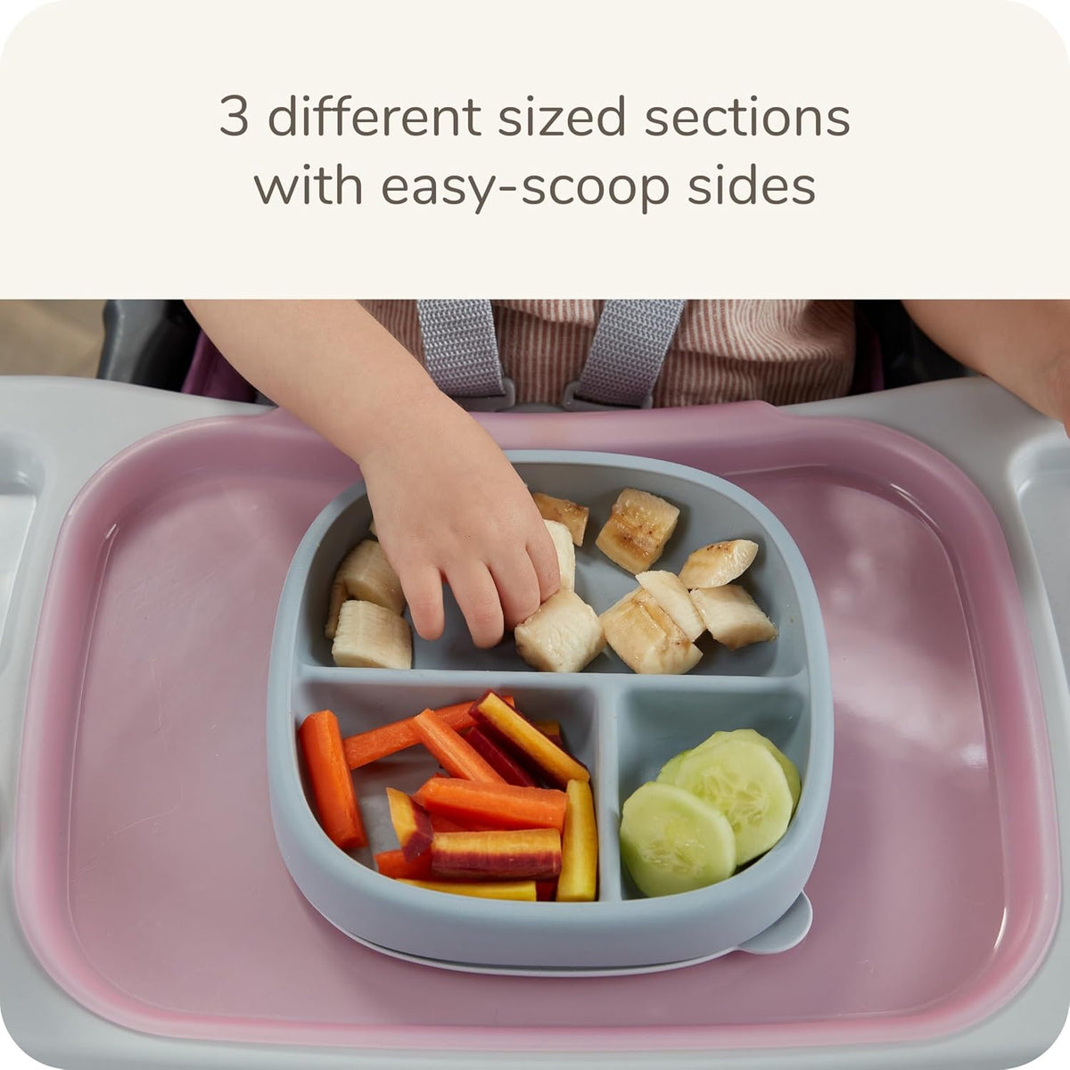 Suction Plates and Lid
