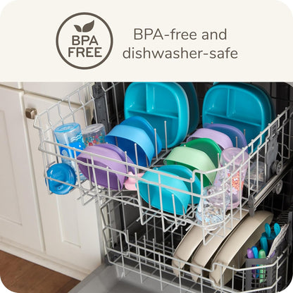 Suction Plates and Lid