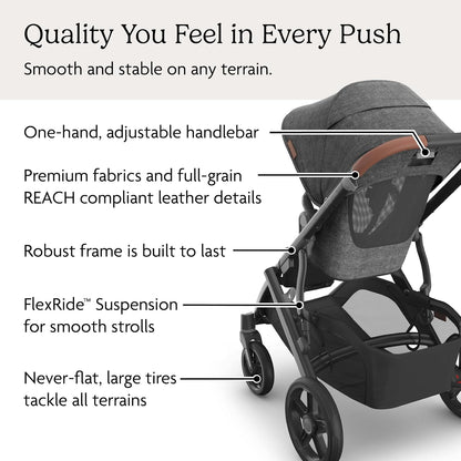 Vista V3 Convertible Single-to-Double Stroller - Owen