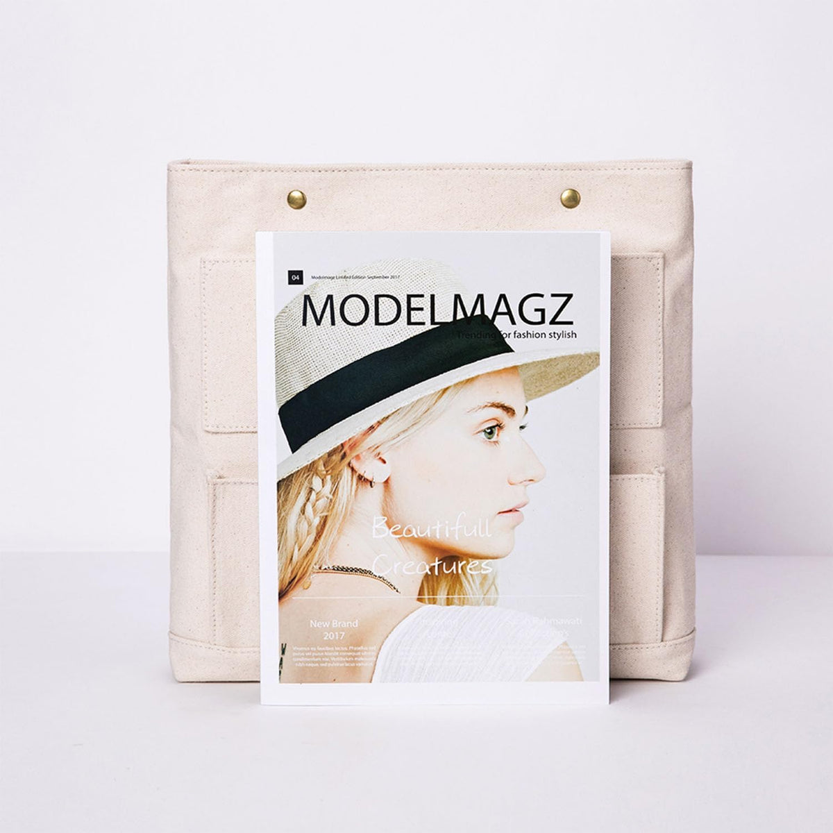 Lightweight Handbag Organizers Insert with Multiple Pockets - Handbag Organizer for Storage and Organization, Cosmetic Bag, Cotton Canvas （XS, Beige）