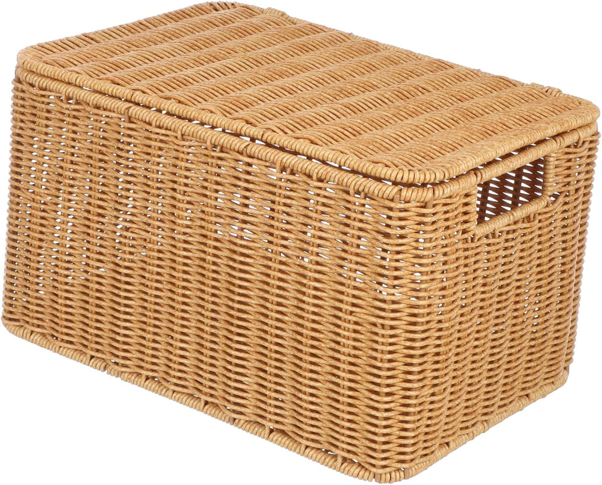 Woven Storage Basket with Lid, Large Cube for Toys and Sundries