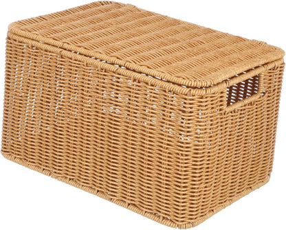 Woven Storage Basket with Lid, Large Cube for Toys and Sundries
