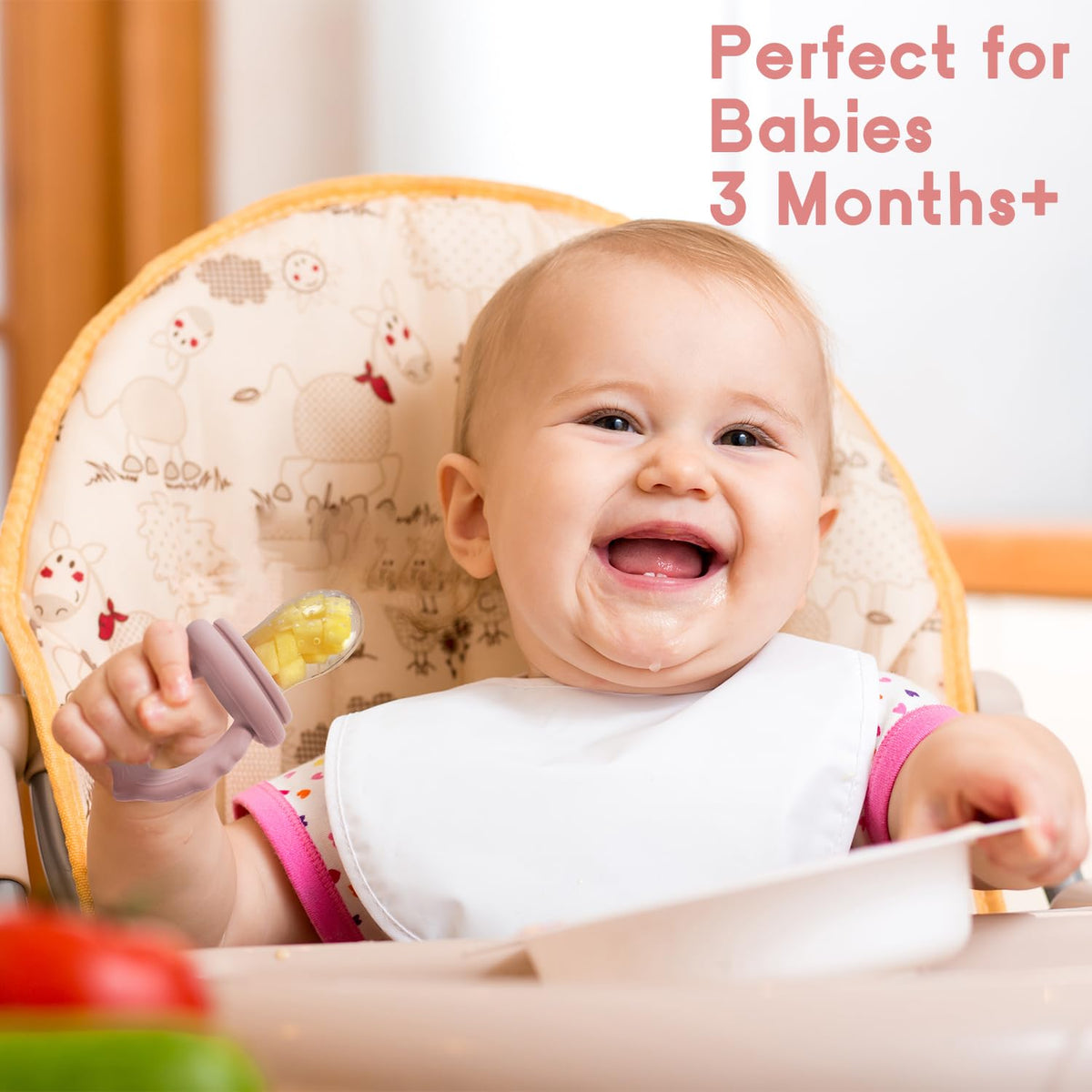 Silicone Baby Fruit Food Feeder & Baby Food Freezer Tray Set, milk Popsicle Molds for Baby Teething Relief, Baby Food Pacifier Feeder for Infants Self Feeding, Include 3 Sizes Food Pouch