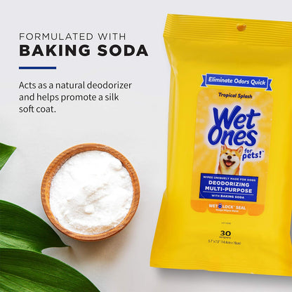for Pets Deodorizing Dog Wipes, Tropical Splash Scent