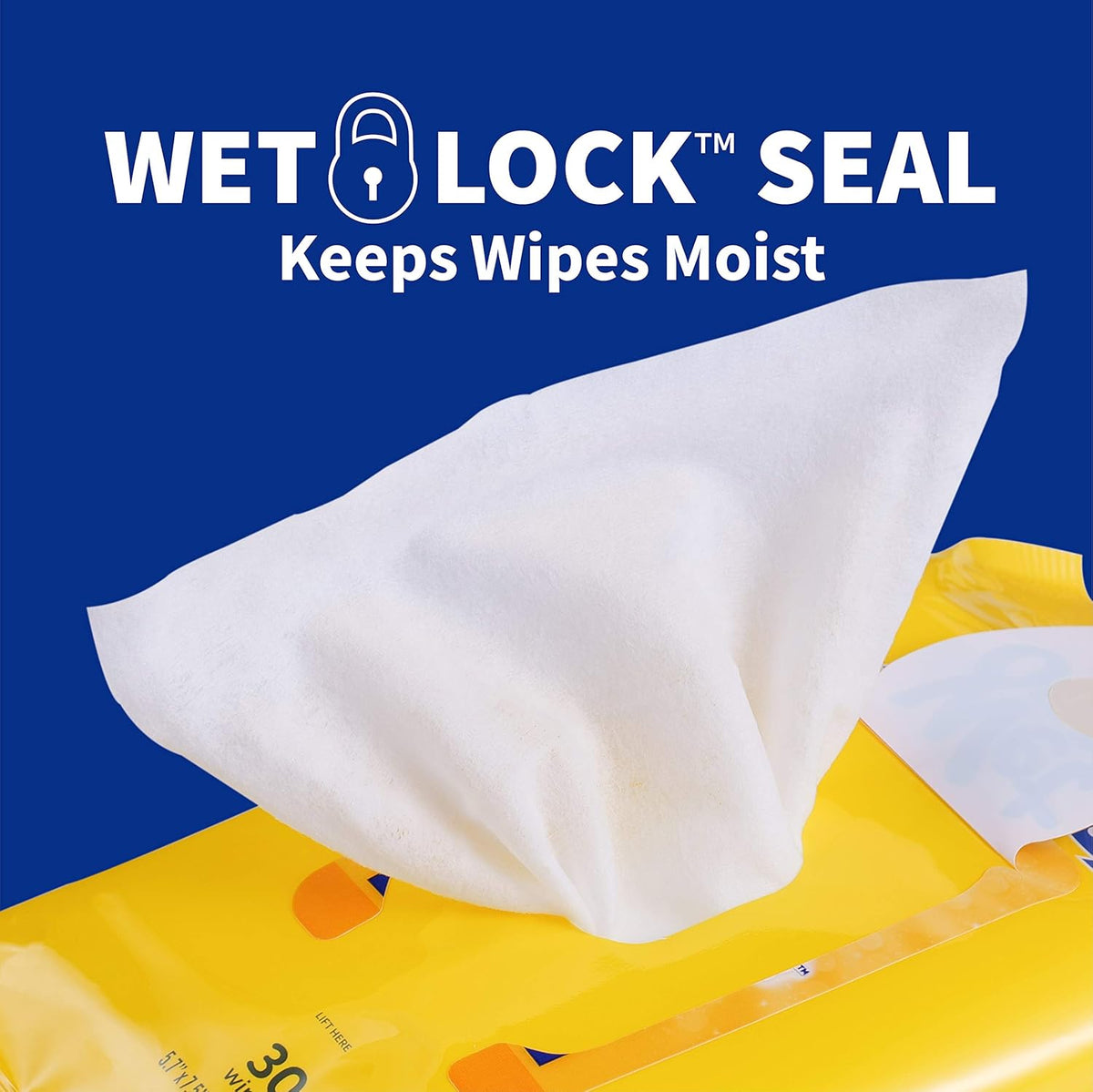 for Pets Deodorizing Dog Wipes, Tropical Splash Scent