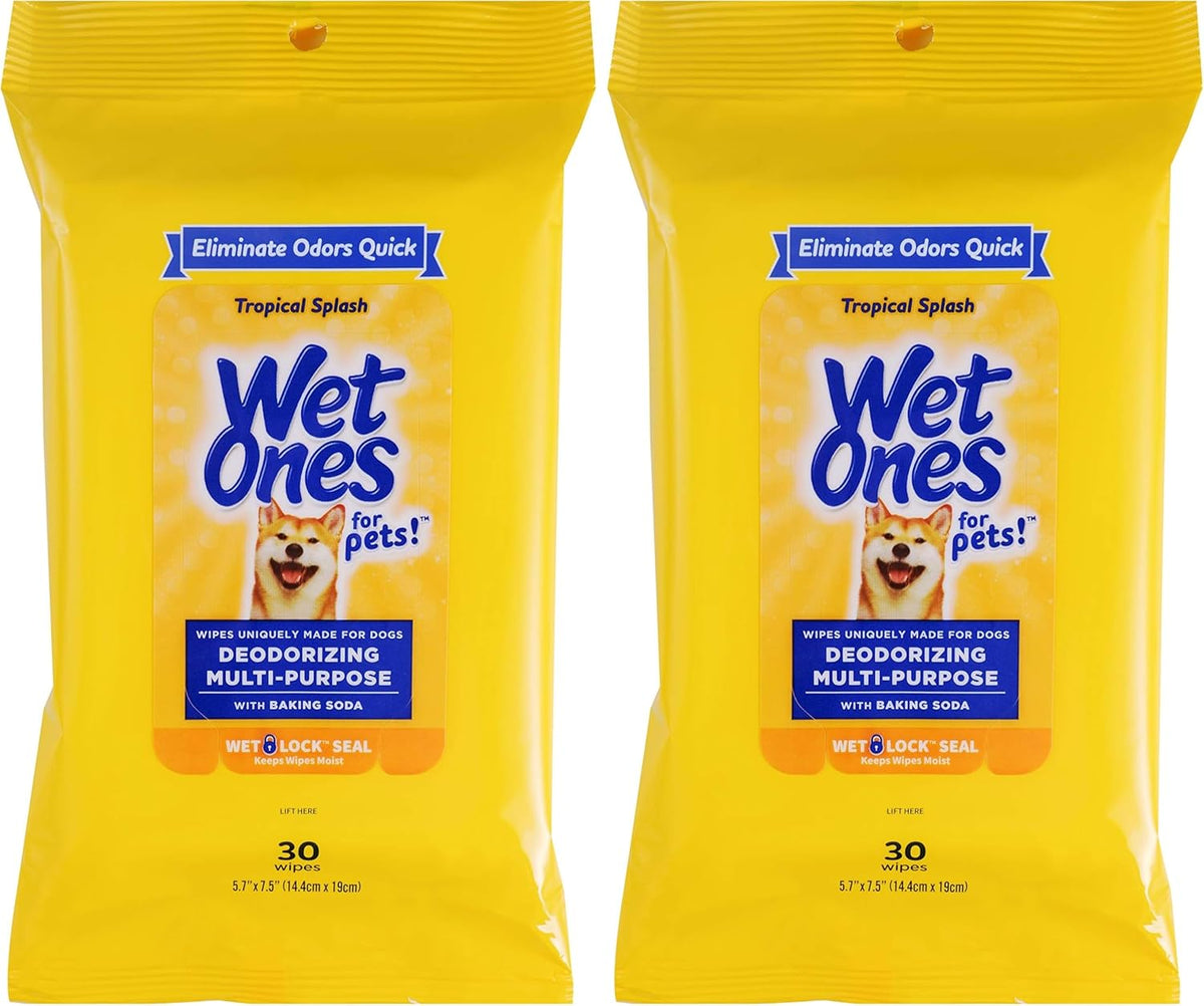 for Pets Deodorizing Dog Wipes, Tropical Splash Scent