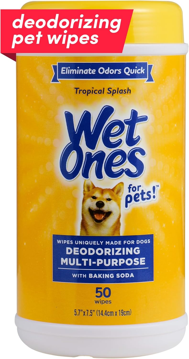 for Pets Deodorizing Dog Wipes, Tropical Splash Scent